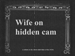 Vintage Hidden Sex - Retro Hidden Tube - Hidden Sex Videos - retroXtube.com