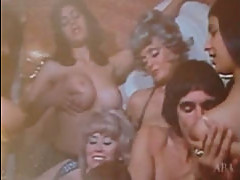 Vintage Orgy Videos